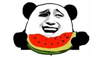 摇胯吃瓜,揭秘娱乐圈的“胯上风云”